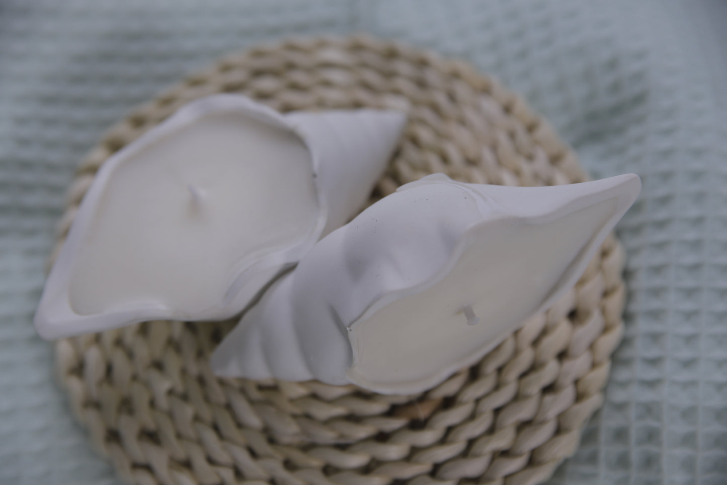 Vela en Caracola hecha a mano – Artesanía costera en cera de soja