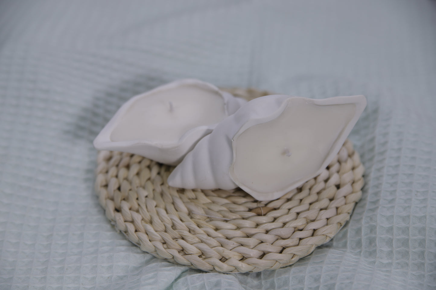 Vela en Caracola hecha a mano – Artesanía costera en cera de soja